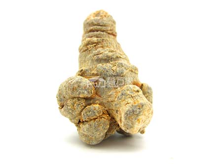 三七能烫熟吗