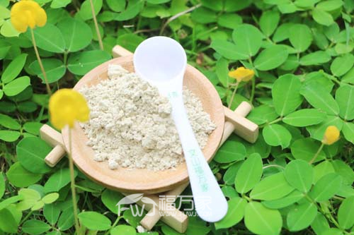 三七粉吃多少克合适